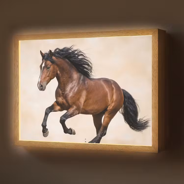 Paard - Galop - Energie Light Box met batterij (Wandlamp) middel -z3d_website