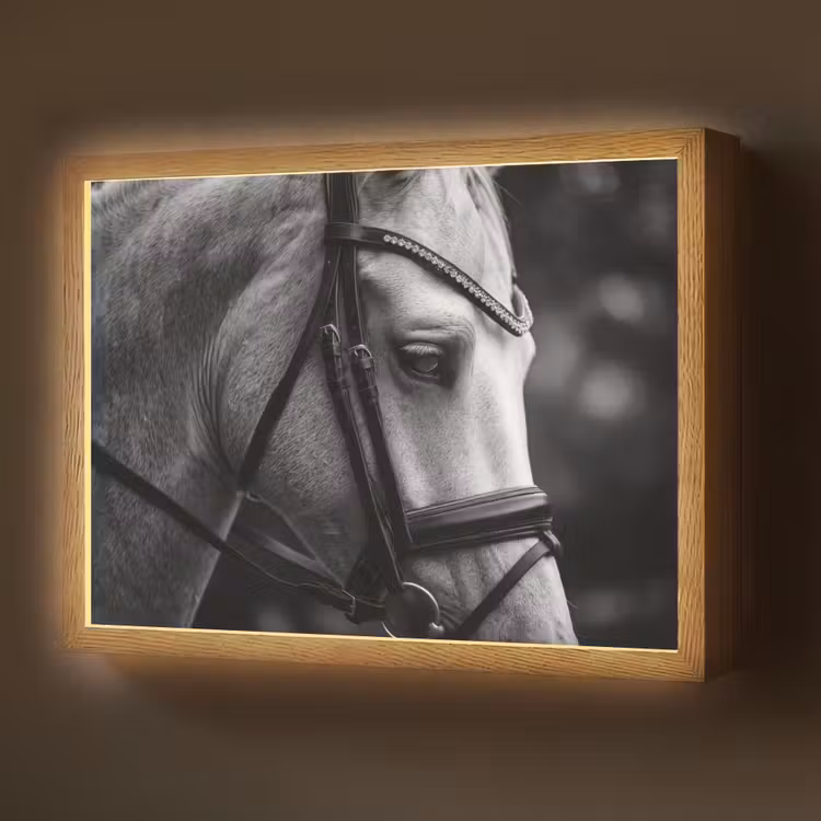 Paard - Schimmel - Portret Light Box met batterij (Wandlamp) middel -z3d_website