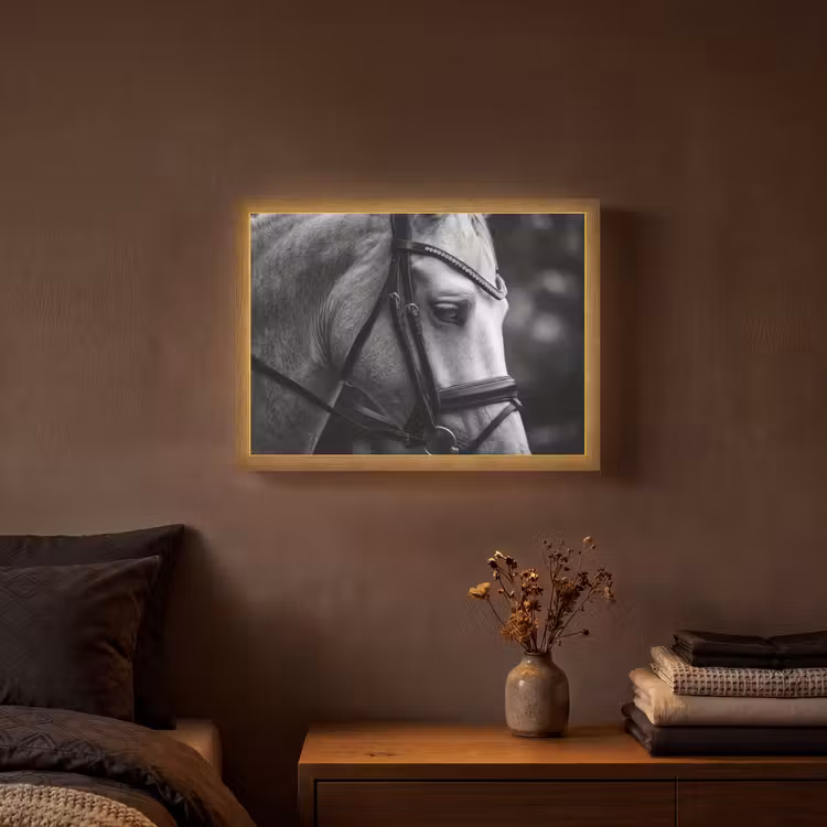 Paard - Schimmel - Portret Light Box met batterij (Wandlamp) middel -sfeer4