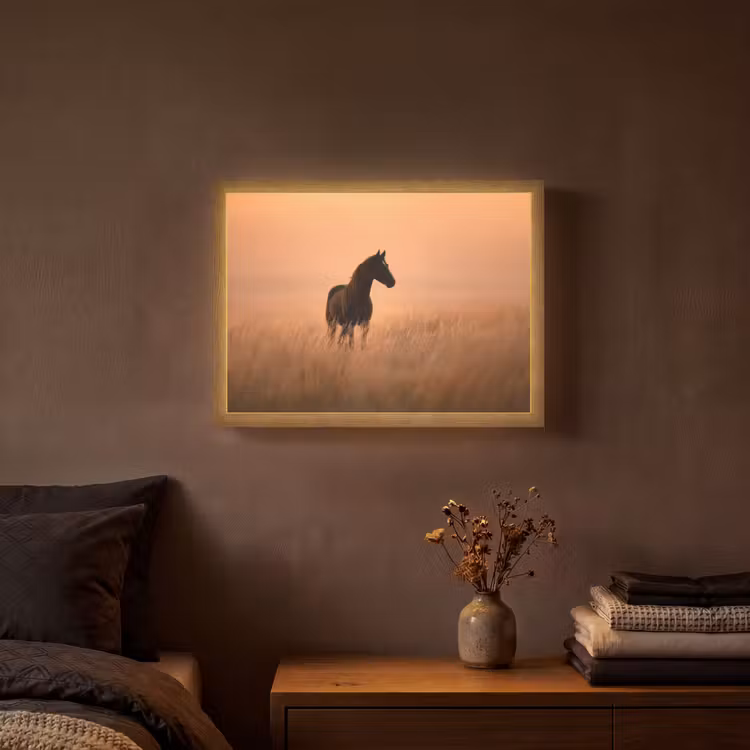 Paard - Grasveld - Zonsondergang Light Box met batterij (Wandlamp) middel -sfeer4