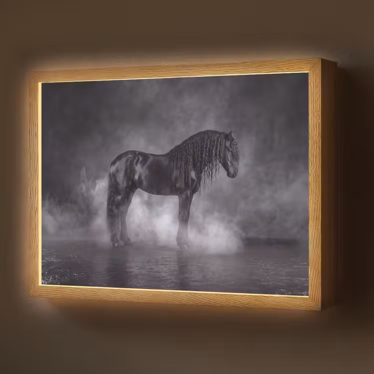 Paard - Magisch - Zwart Light Box met batterij (Wandlamp) middel -z3d_website