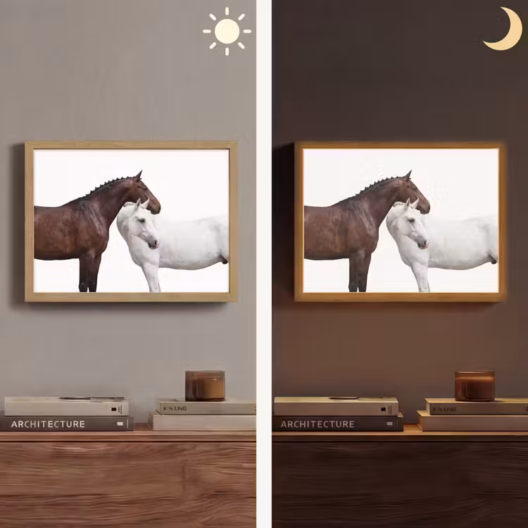 Paard - Modern - Balans Light Box met batterij (Wandlamp) middel -sfeer3