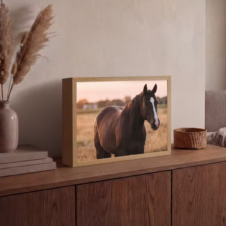 Paard - Zonsondergang - Bruin Light Box met batterij (Wandlamp) middel -sfeer2