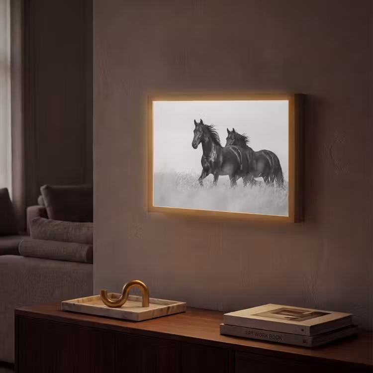 Paarden - Gras - Zwart - Wit Light Box met batterij (Wandlamp) middel -sfeer1