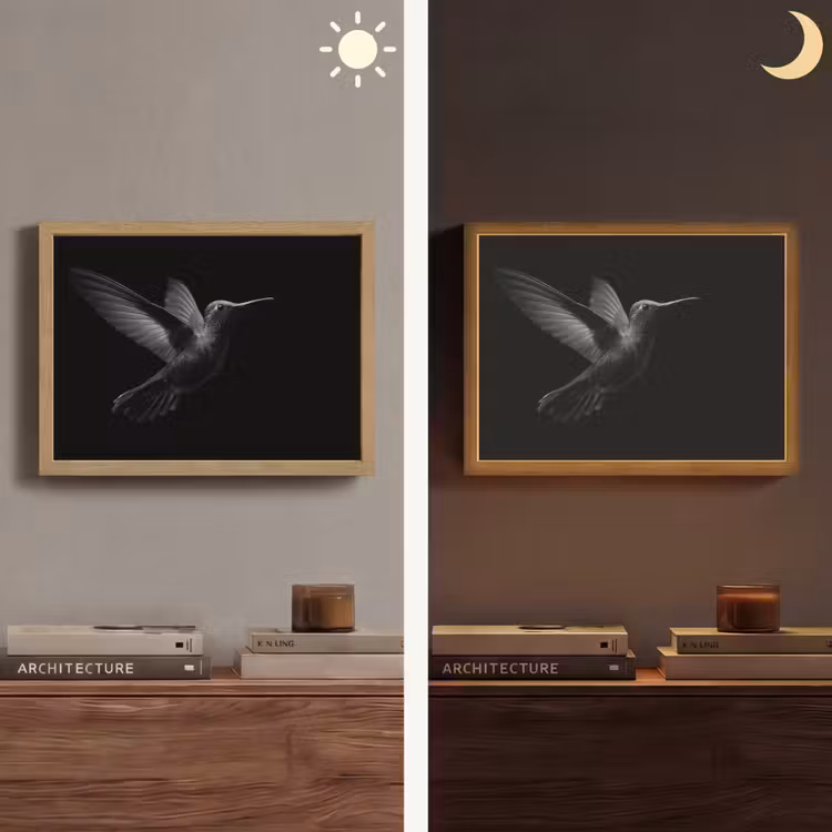 Kolibrie - Zwart - Dieren Light Box met batterij (Wandlamp) middel -sfeer3