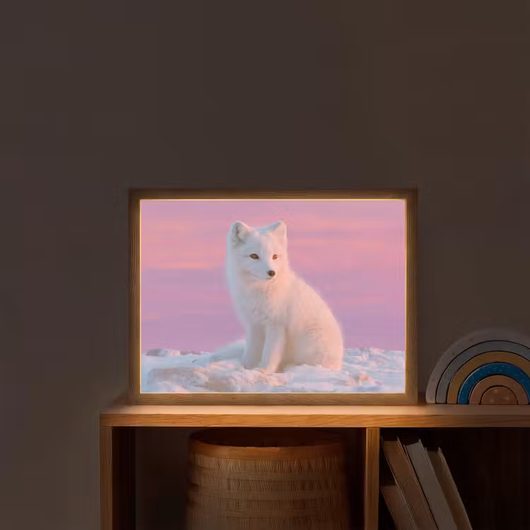 Poolvos - Sneeuw - Roze Light Box met batterij (Wandlamp kind) middel -sfeer1_kind