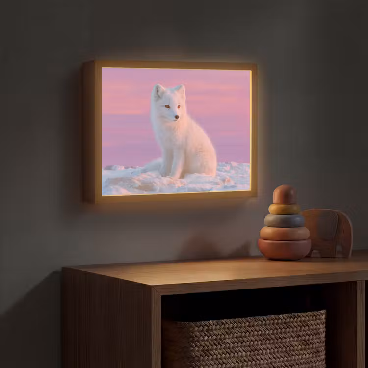 Poolvos - Sneeuw - Roze Light Box met batterij (Wandlamp kind) middel -sfeer5_kind