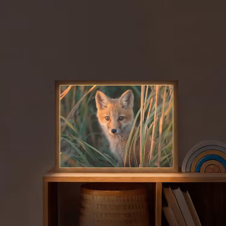 Vos - Oranje - Gras Light Box met batterij (Wandlamp kind) middel -sfeer1_kind