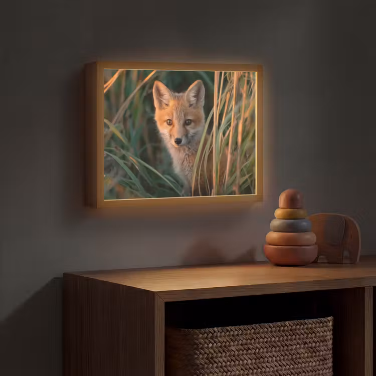 Vos - Oranje - Gras Light Box met batterij (Wandlamp kind) middel -sfeer5_kind