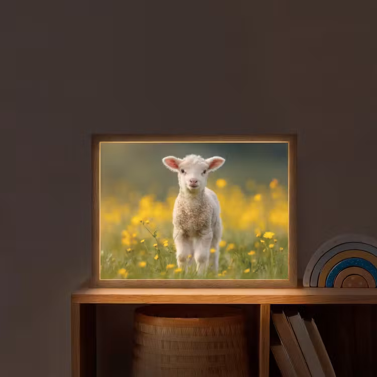 Lammetje - Gras - Bloemen - Geel Light Box met batterij (Wandlamp kind) middel -sfeer1_kind