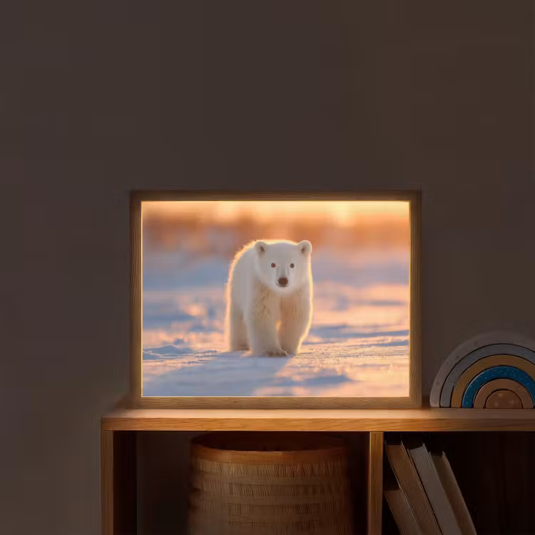 Ijsbeer - Sneeuw - Zonsopgang Light Box met batterij (Wandlamp kind) middel -sfeer1_kind