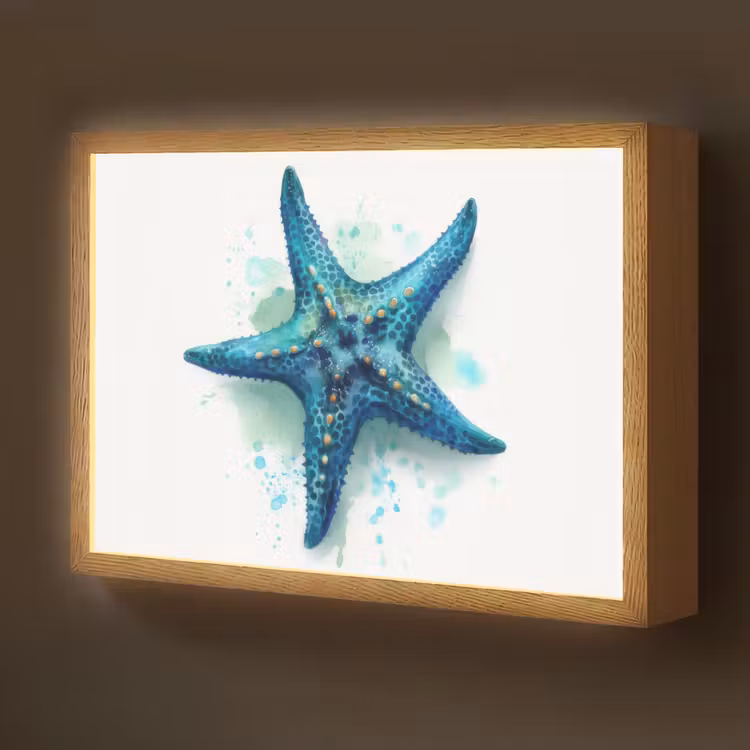 Zeester - Blauw - Spetters Light Box met batterij (Wandlamp kind) middel -z3d_website