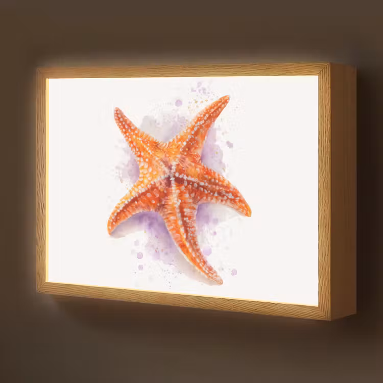 Zeester - Oranje - Paars Light Box met batterij (Wandlamp kind) middel -z3d_website