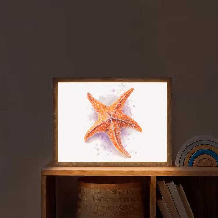 Zeester - Oranje - Paars Light Box met batterij (Wandlamp kind) middel -sfeer1_kind