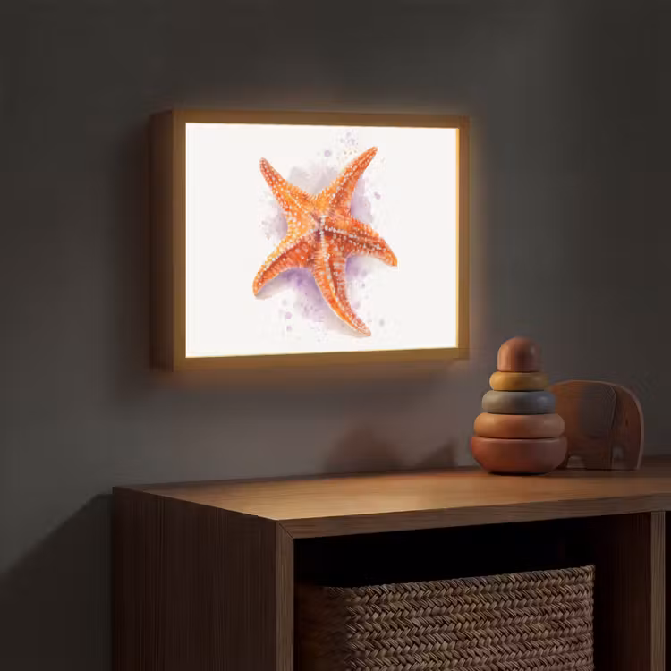 Zeester - Oranje - Paars Light Box met batterij (Wandlamp kind) middel -sfeer5_kind