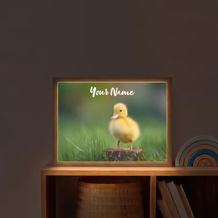 Kuiken - Eend - Geel - Gras Light Box met batterij (Wandlamp kind) middel -sfeer1_kind