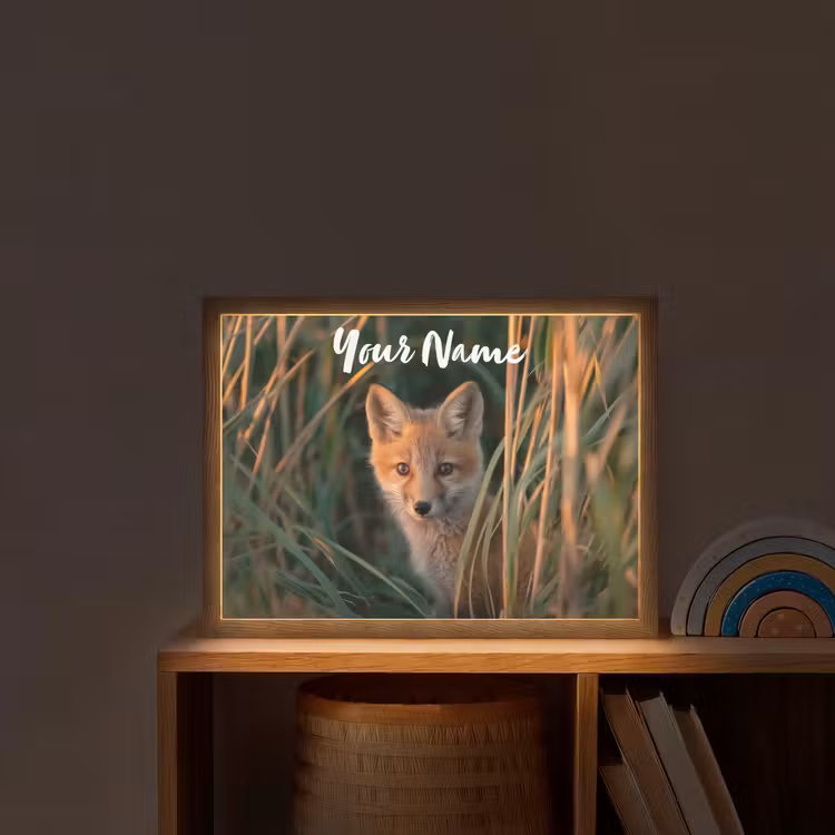 Vos - Oranje - Gras Light Box met batterij (Wandlamp kind) middel -sfeer1_kind