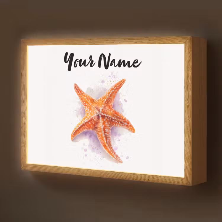 Zeester - Oranje - Paars Light Box met batterij (Wandlamp kind) middel -z3d_website