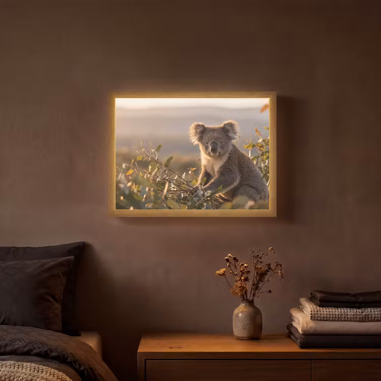Koala - Bladeren - Ochtendlicht Light Box met batterij (Wandlamp) middel -sfeer4