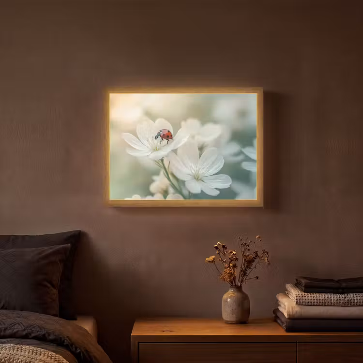 Lieveheersbeestje - Bloemen - Wit Light Box met batterij (Wandlamp) middel -sfeer4
