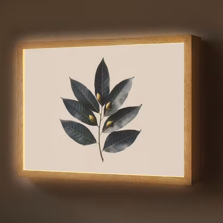 Laurierbladeren - Bloemknoppen - subtiel Light Box met batterij (Wandlamp) middel -z3d_website