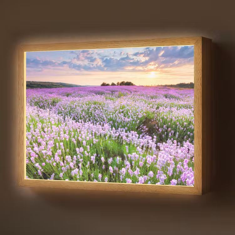 Lavendel - Bloemen - Zonsondergang - Paars - Weide Light Box met batterij (Wandlamp) middel -z3d_website