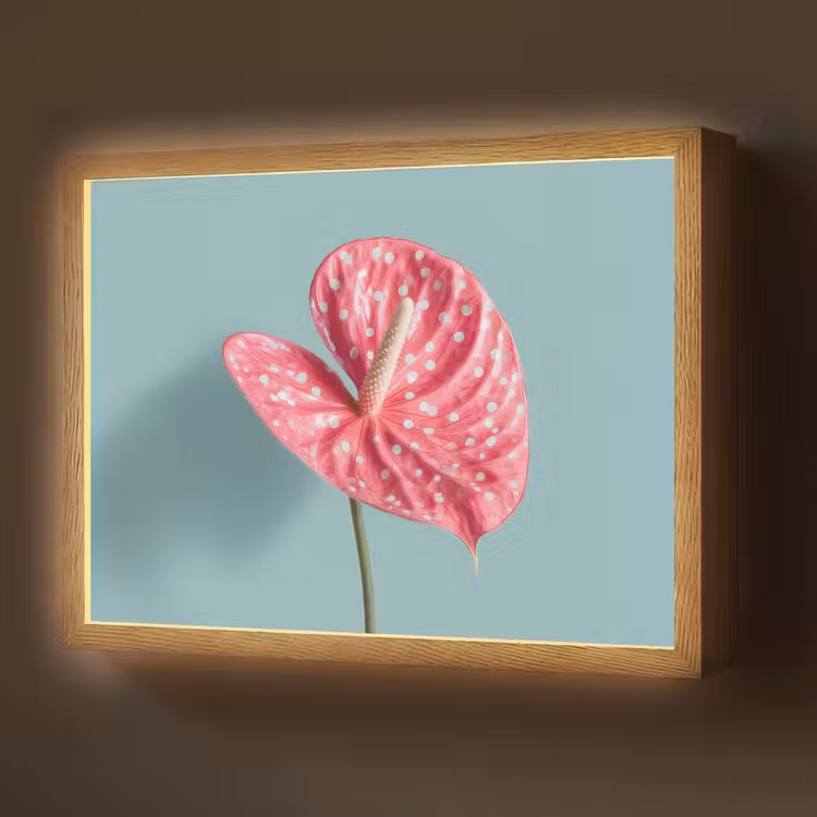 Blad - Anthurium - Stippen - Roze Light Box met batterij (Wandlamp) middel -z3d_website