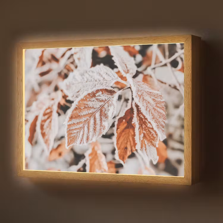 Bladeren - IJs - Winter - Natuur Light Box met batterij (Wandlamp) middel -z3d_website