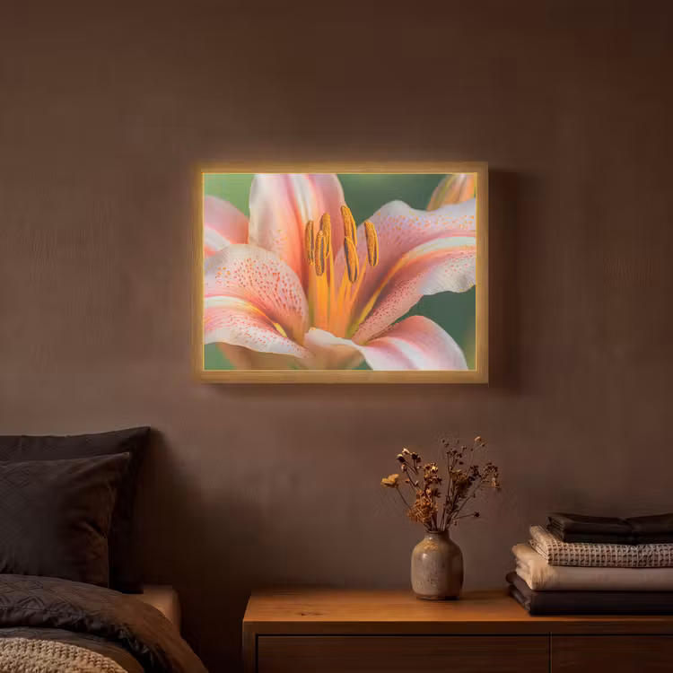 Lelie - Close up - Lichtroze Light Box met batterij (Wandlamp) middel -sfeer4