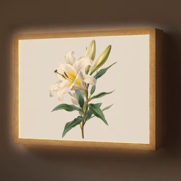 Lelie - Elegant - Botanisch - Beige Light Box met batterij (Wandlamp) middel -z3d_website