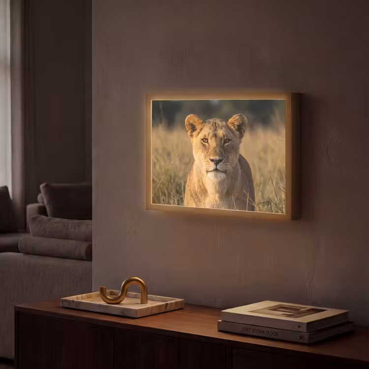 Leeuwin - Gras - Geel Light Box met batterij (Wandlamp) middel -sfeer1