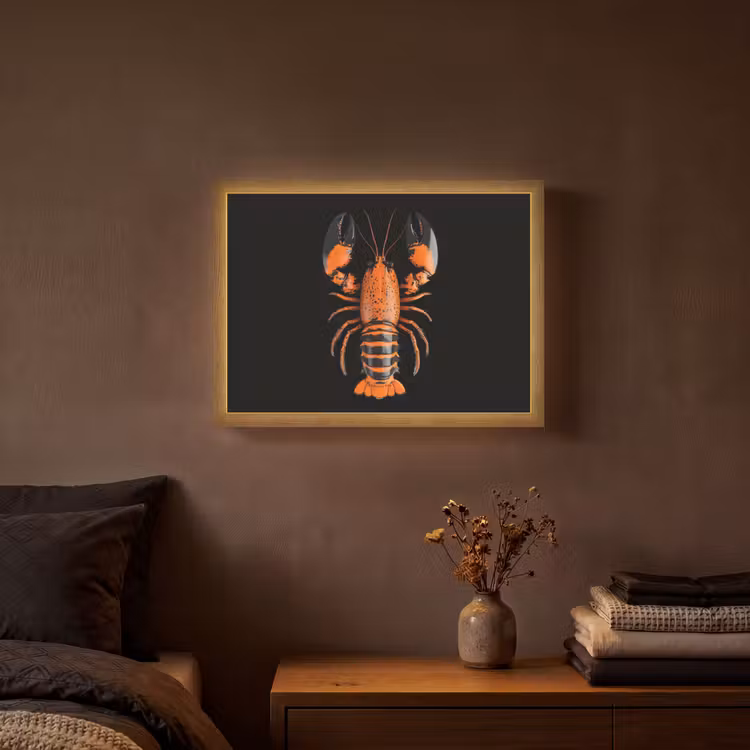 Kreeft - Oranje - Zwart - Modern Light Box met batterij (Wandlamp) middel -sfeer4