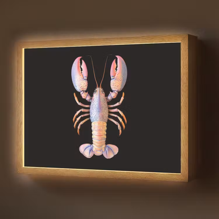 Kreeft - Roze - Zacht - Zwart Light Box met batterij (Wandlamp) middel -z3d_website