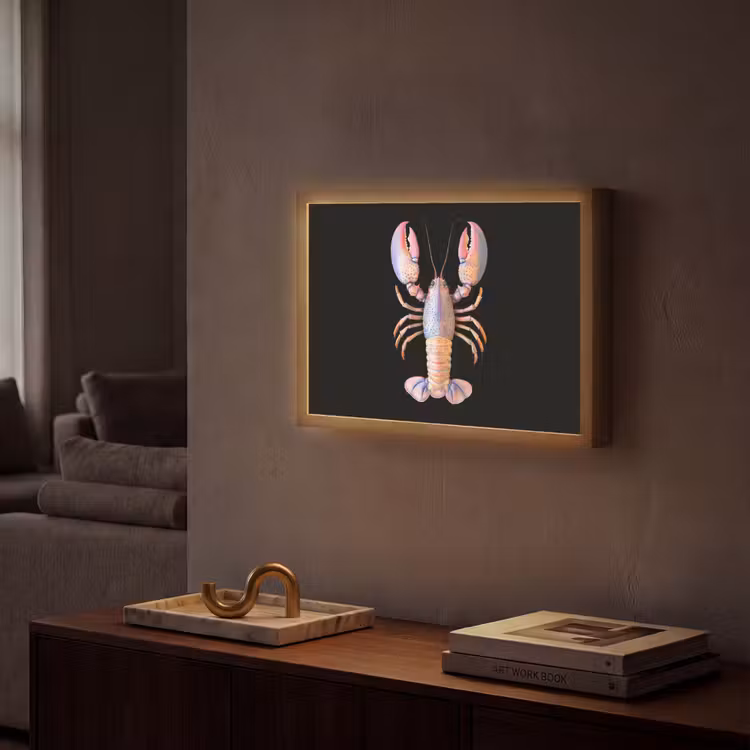 Kreeft - Roze - Zacht - Zwart Light Box met batterij (Wandlamp) middel -sfeer1