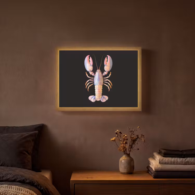 Kreeft - Roze - Zacht - Zwart Light Box met batterij (Wandlamp) middel -sfeer4