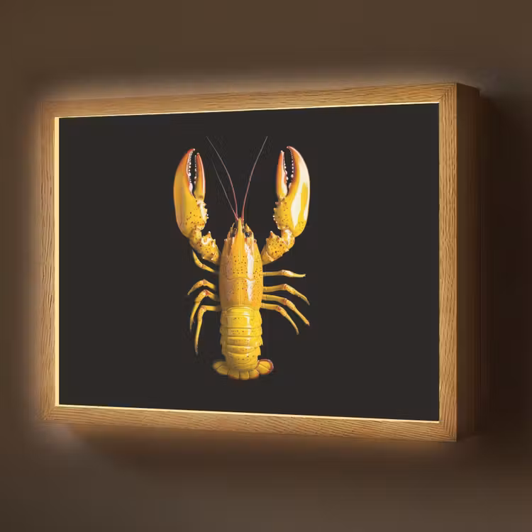Kreeft - Geel - Stippen - Effen Light Box met batterij (Wandlamp) middel -z3d_website