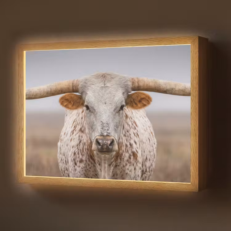 Longhorn - Grasveld - Dier Light Box met batterij (Wandlamp) middel -z3d_website