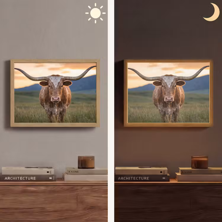 Longhorn - Landschap - Zonsondergang Light Box met batterij (Wandlamp) middel -sfeer3