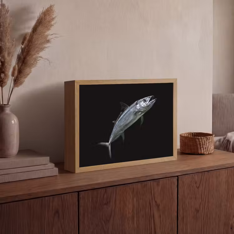 Makreel - Vis - Zwart Light Box met batterij (Wandlamp) middel -sfeer2