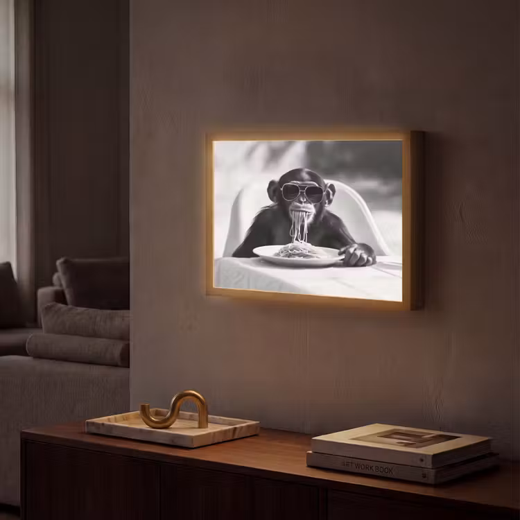 Aap - Spaghetti - Zonnebril - Zwart wit - Cool - Dier Light Box met batterij (Wandlamp) middel -sfeer1