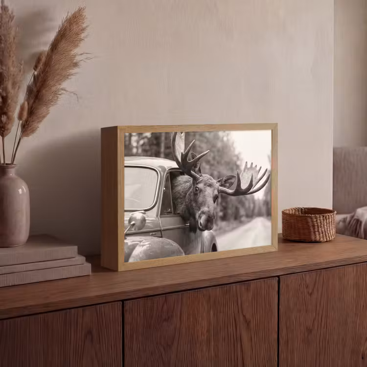 Eland - Auto - Gewei - Zwart - Wit Light Box met batterij (Wandlamp) middel -sfeer2