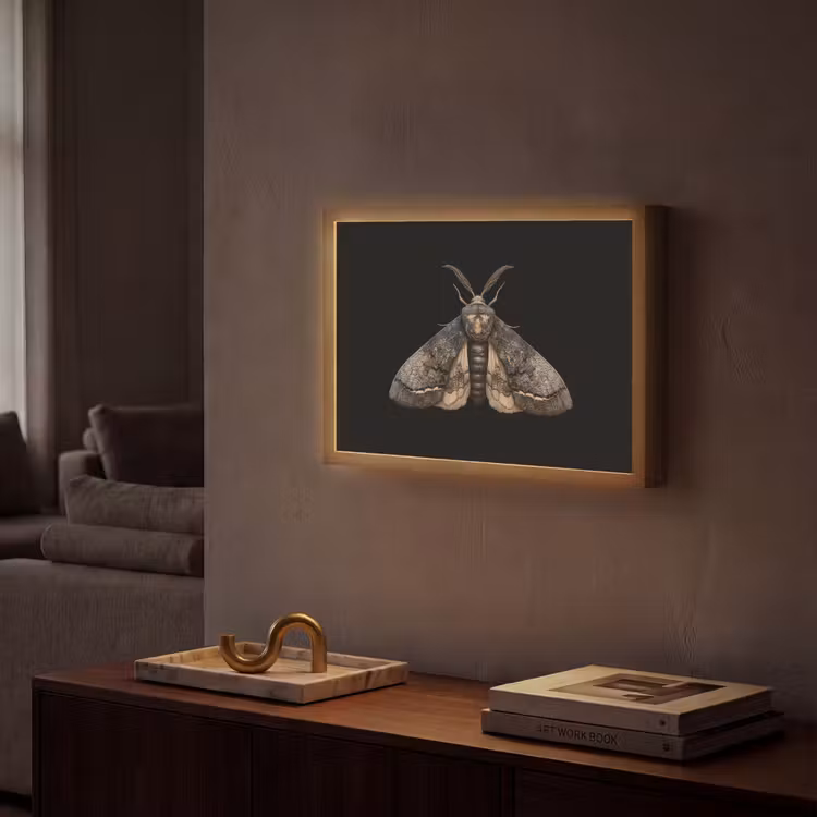 Mot - Bladachtig - Grijs Light Box met batterij (Wandlamp) middel -sfeer1