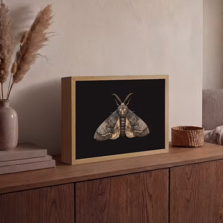 Mot - Bladachtig - Grijs Light Box met batterij (Wandlamp) middel -sfeer2