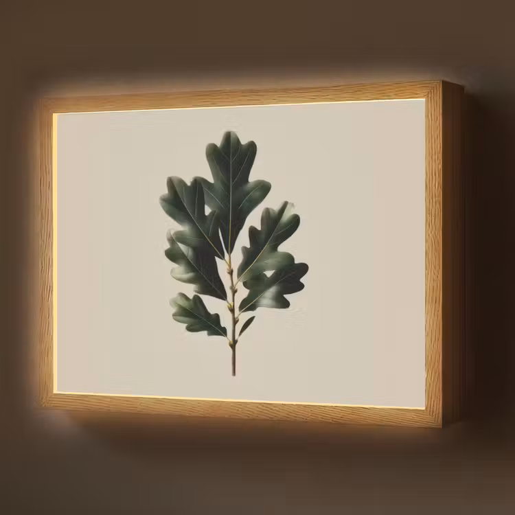 Eikenbladeren - Beige - Groen - Golvende randen Light Box met batterij (Wandlamp) middel -z3d_website