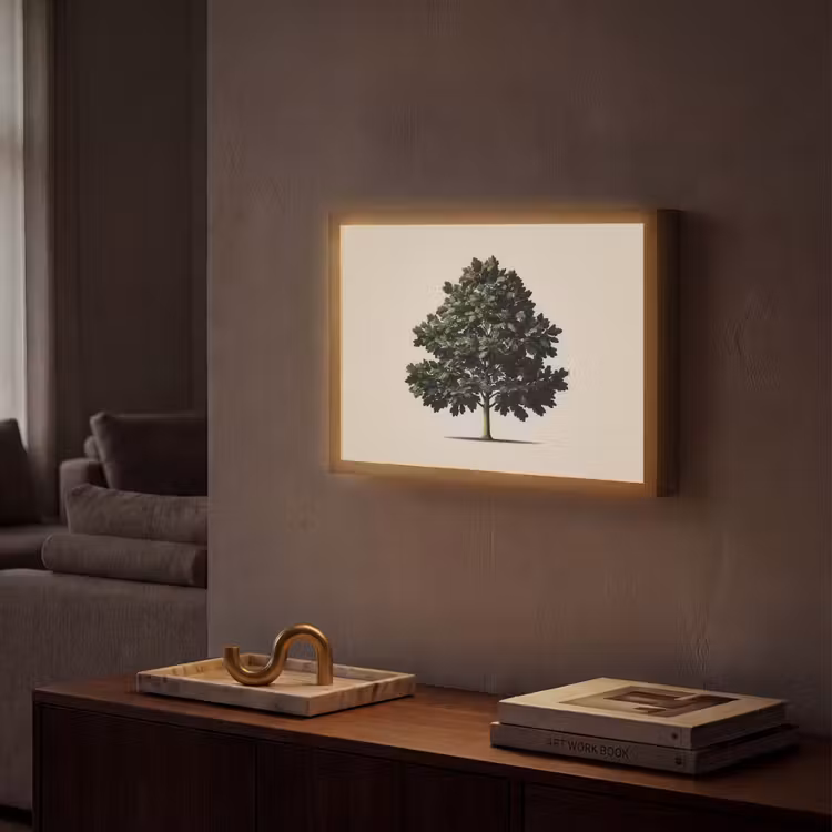 Eikenboom - Schaduw - Egaal Light Box met batterij (Wandlamp) middel -sfeer1