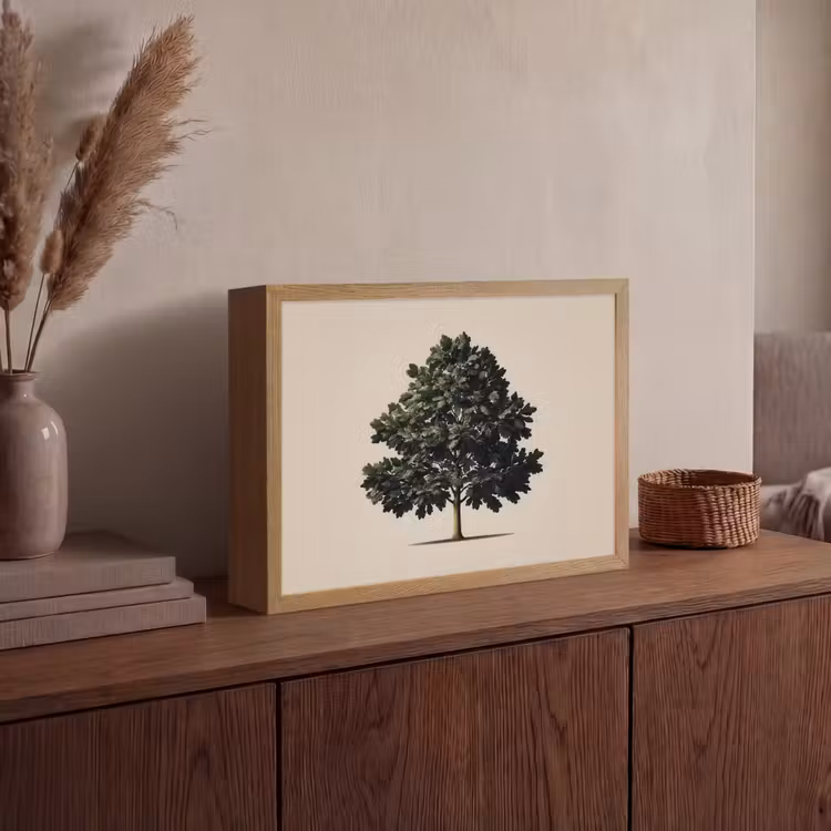 Eikenboom - Schaduw - Egaal Light Box met batterij (Wandlamp) middel -sfeer2