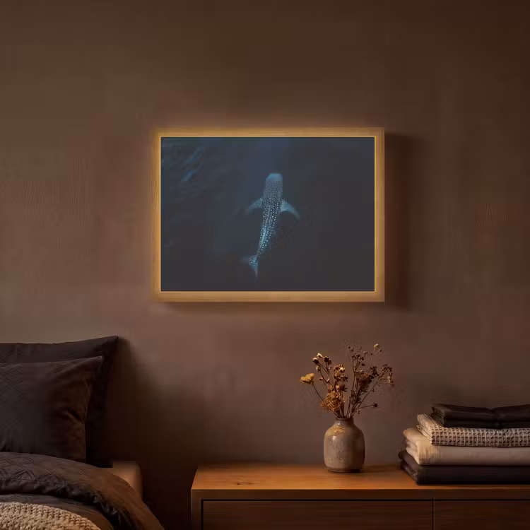 Oceaan - Walvishaai - Donkerblauw - Vlekken Light Box met batterij (Wandlamp) middel -sfeer4