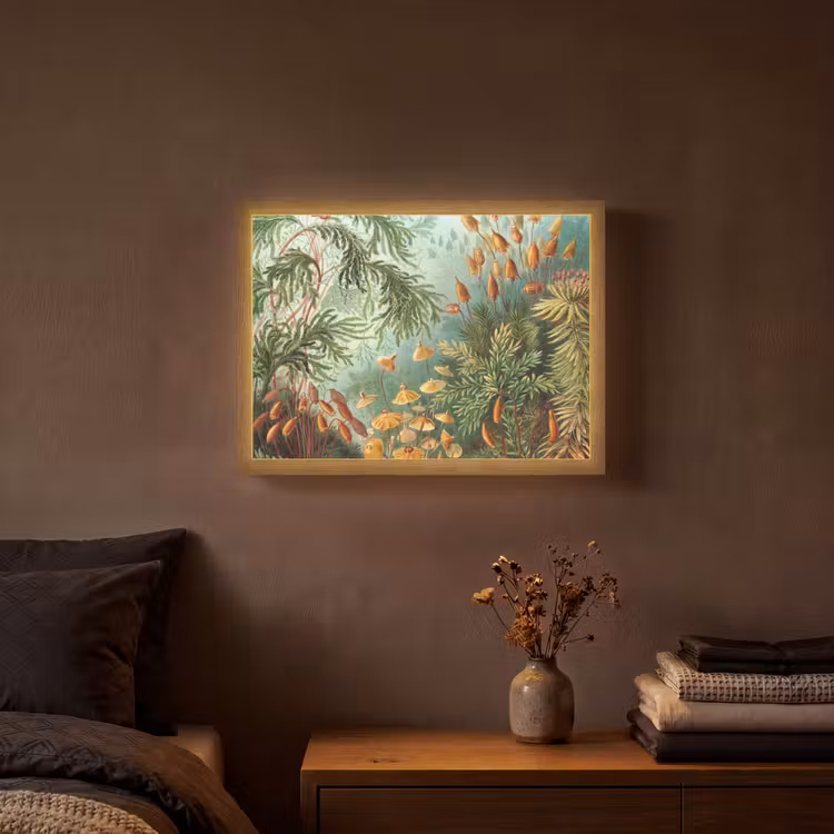 Oude meesters - Kunst - Muscinae - Haeckel Light Box met batterij (Wandlamp) middel -sfeer4