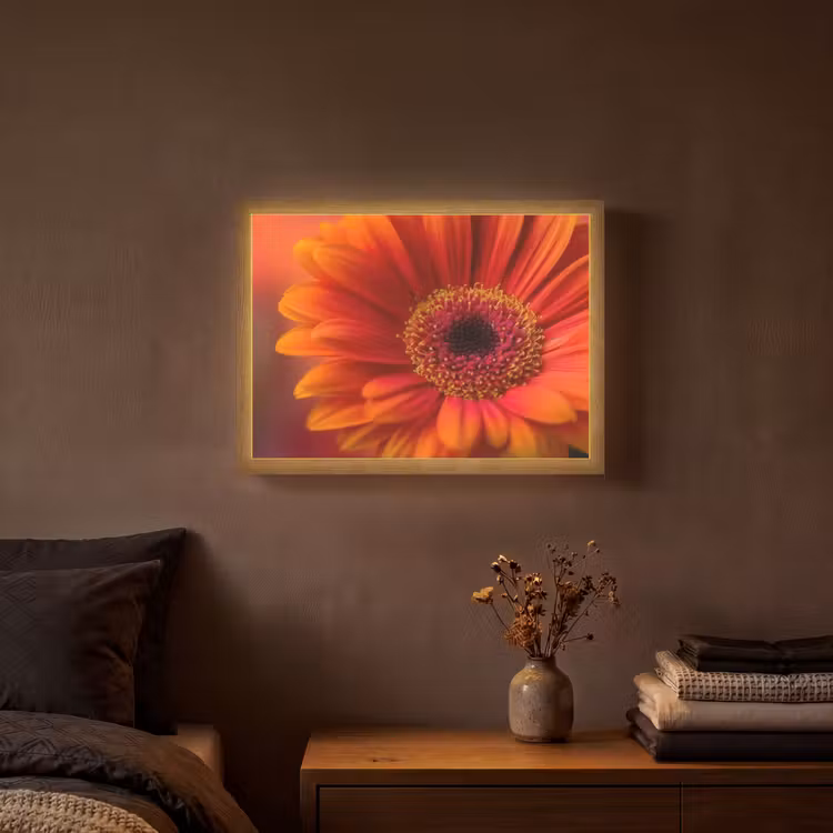 Oranje - Gerbera - Intens Light Box met batterij (Wandlamp) middel -sfeer4