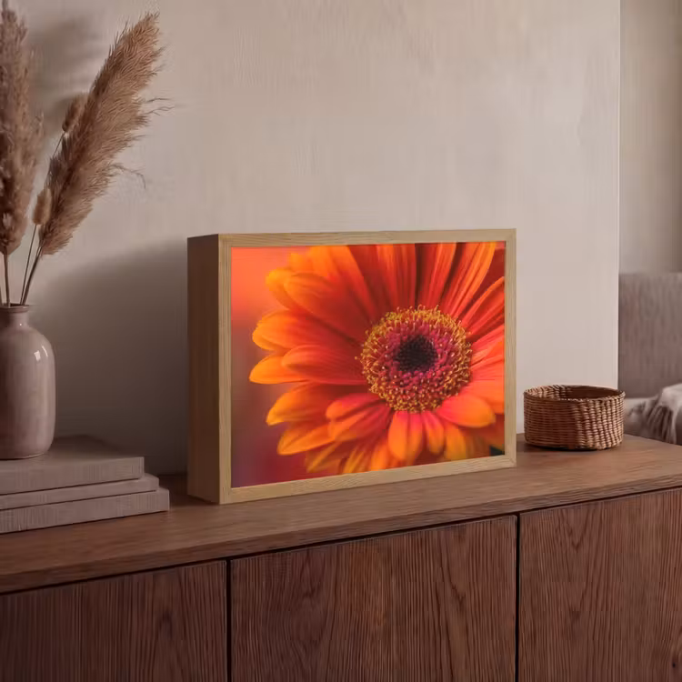 Oranje - Gerbera - Intens Light Box met batterij (Wandlamp) middel -sfeer2